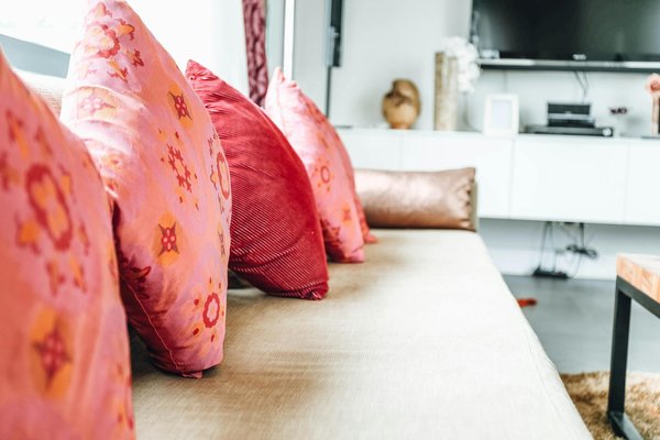 Top Tips for Creating the Perfect Rose Garden in the UK: Ideal Conditions You Need to Know!