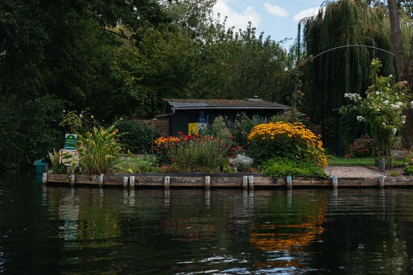 Top garden fencing solutions in croydon for every need